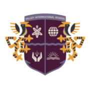 Valley International School logo